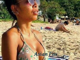 Asian_Fox