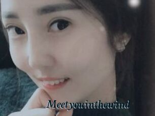 Meetyouinthewind