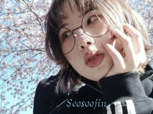 Seosoojin