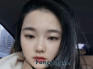 Yangqingxue